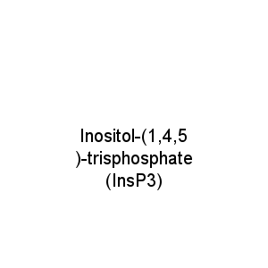Inositol-(1,4,5)-trisphosphate (InsP3)
